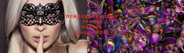 шишки Покров
