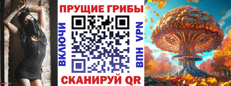 Псилоцибиновые грибы прущие грибы Шахунья